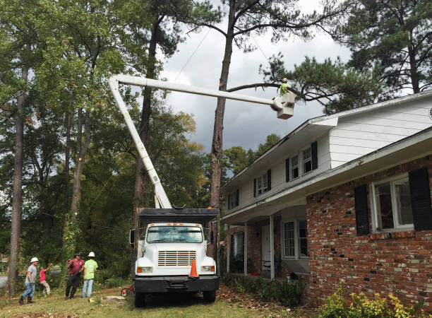 Seasonal Cleanup (Spring/Fall) in Coatesville, PA